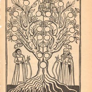 Representació de l’Arbre eviternal de l’Arbre de ciència, segons una edició de 1505.